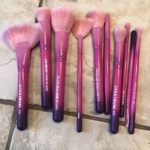 Spectrum Cosmetics Mean Girls NEW makeup brushes